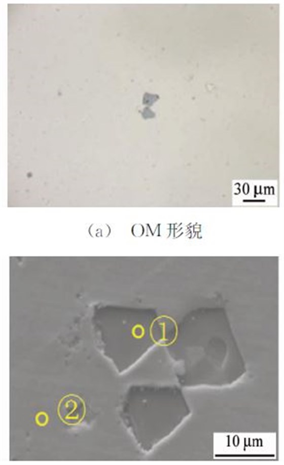 (b) SEM 形貌 (b) SEM 形貌