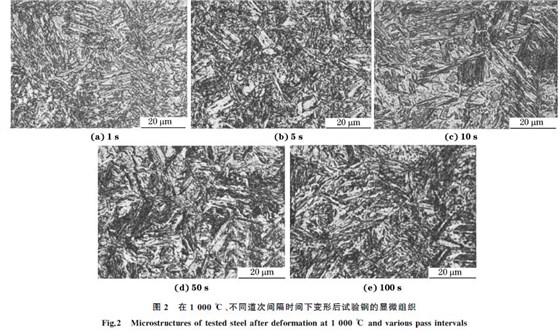 圖２ 在１０００ ℃、不同道次間隔時間下變形后試驗(yàn)鋼的顯微組織