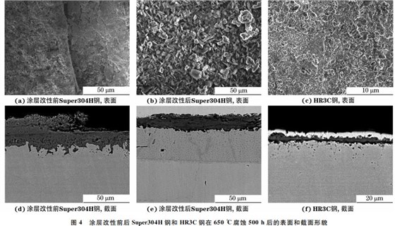 圖4 涂層改性前后Super304H 鋼和 HR3C鋼在650 ℃腐蝕500h后的表面和截面形貌 圖4 涂層改性前后Super304H 鋼和 HR3C鋼在650 ℃腐蝕500h后的表面和截面形貌