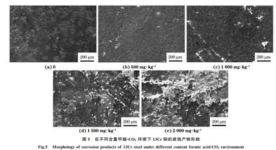 圖5 在不同含量甲酸GCO2 環(huán)境下13Cr鋼的腐蝕產(chǎn)物形貌 圖5 在不同含量甲酸GCO2 環(huán)境下13Cr鋼的腐蝕產(chǎn)物形貌