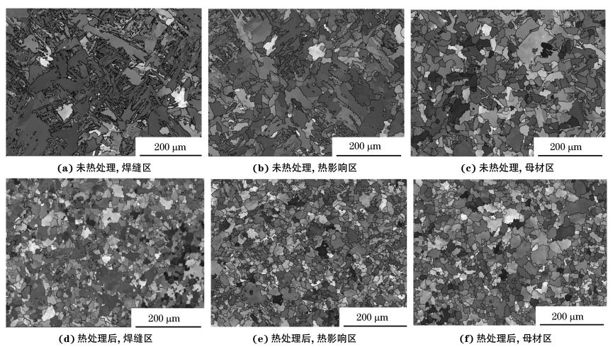 圖２ 熱處理前后焊接接頭焊縫區(qū)、熱影響區(qū)和母材區(qū)的取向成像圖