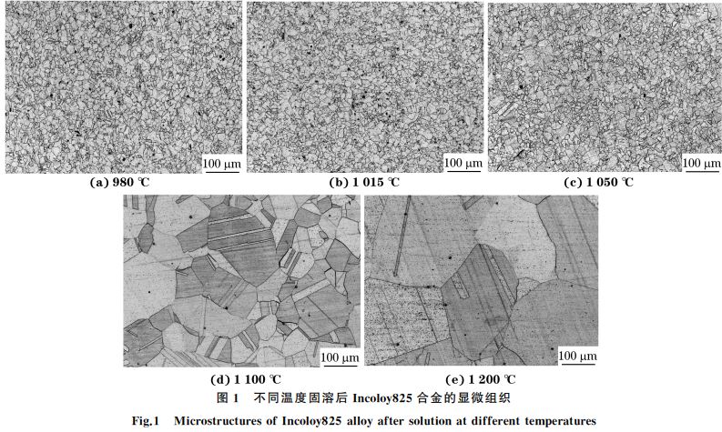 圖1 不同溫度固溶后Incoloy825合金的顯微組織 圖1 不同溫度固溶后Incoloy825合金的顯微組織