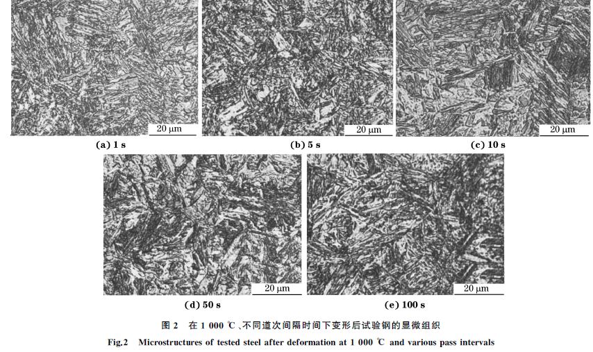 圖２ 在１０００ ℃、不同道次間隔時間下變形后試驗鋼的顯微組織