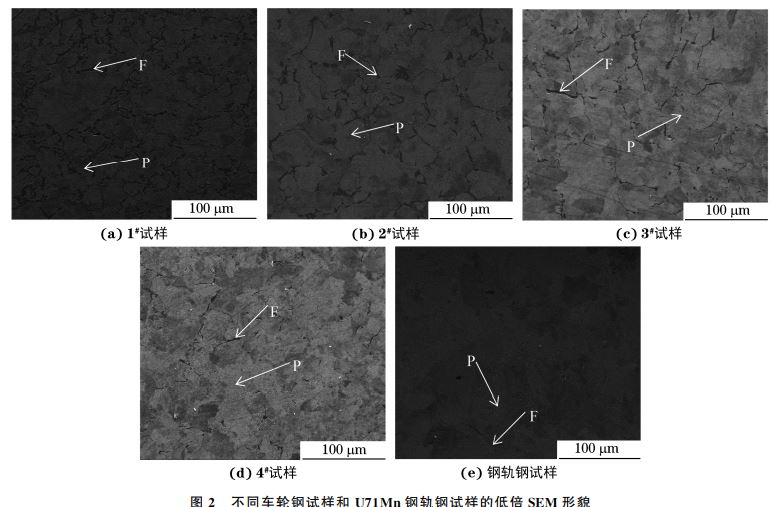 圖2 不同車輪鋼試樣和 U71Mn鋼軌鋼試樣的低倍SEM 形貌 圖2 不同車輪鋼試樣和 U71Mn鋼軌鋼試樣的低倍SEM 形貌