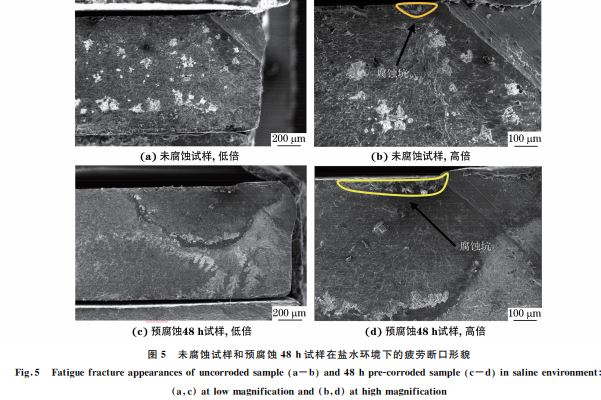 圖5 未腐蝕試樣和預(yù)腐蝕48h試樣在鹽水環(huán)境下的疲勞斷口形貌 圖5 未腐蝕試樣和預(yù)腐蝕48h試樣在鹽水環(huán)境下的疲勞斷口形貌