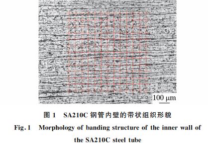 圖1 SA210C鋼管內(nèi)壁的帶狀組織形貌 圖1 SA210C鋼管內(nèi)壁的帶狀組織形貌