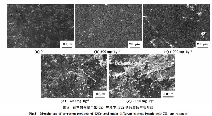 圖5 在不同含量甲酸GCO2 環(huán)境下13Cr鋼的腐蝕產物形貌 圖5 在不同含量甲酸GCO2 環(huán)境下13Cr鋼的腐蝕產物形貌